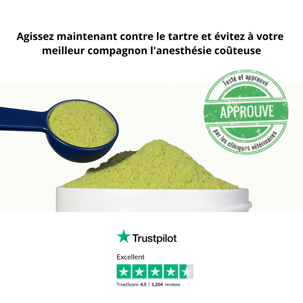 Poudre Catélia Dentaire Chien