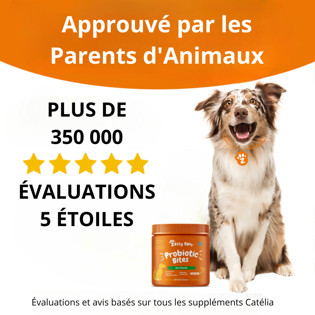 Friandise Catélia Anti-Grattage Ultime