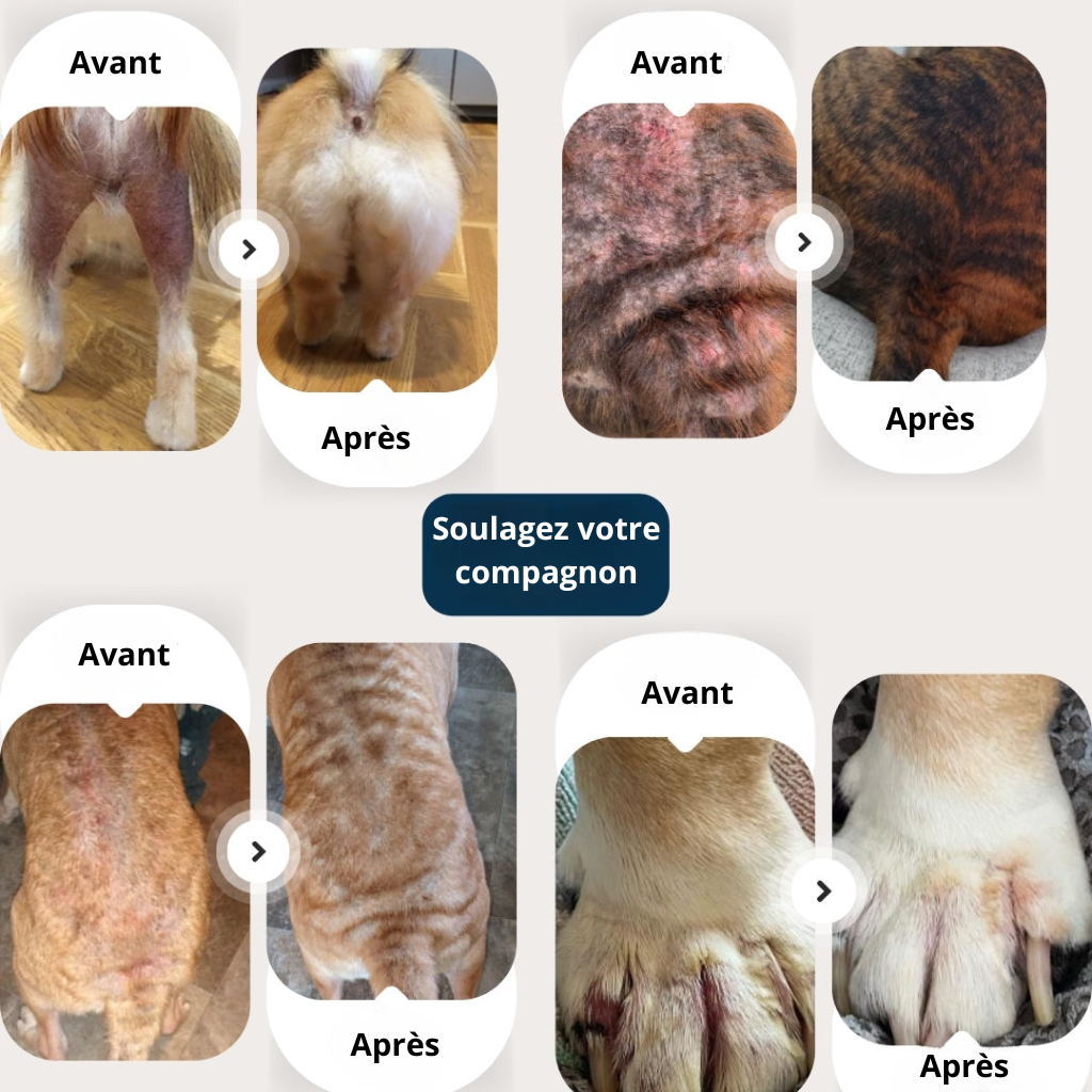 Friandise Catélia Anti-Grattage Ultime